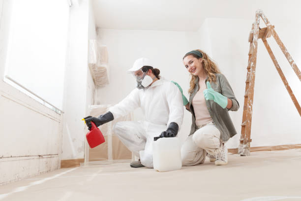 Dehumidification Services in Carlisle, KY